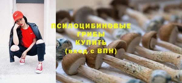 СК Покров