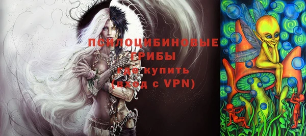 СК Покров