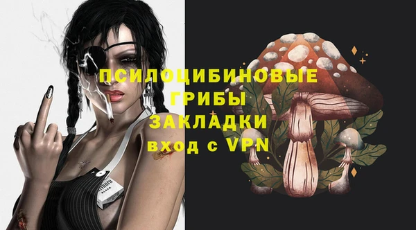СК Покров