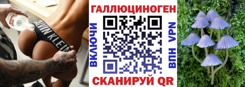Галлюциногенные грибы Psilocybe  Анадырь 